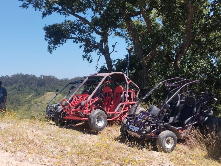 WhatsApp Image 2025-06-30 at 21.29.25 (3)